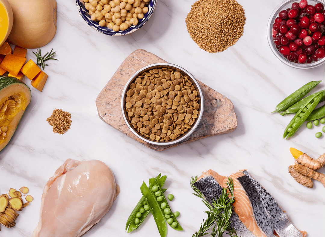 Turkey & Salmon Kibble Dog Food I Kabo I Kabo